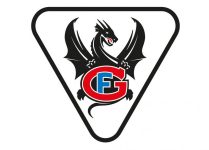 FG-Logo-v2 FG-Logo-v2